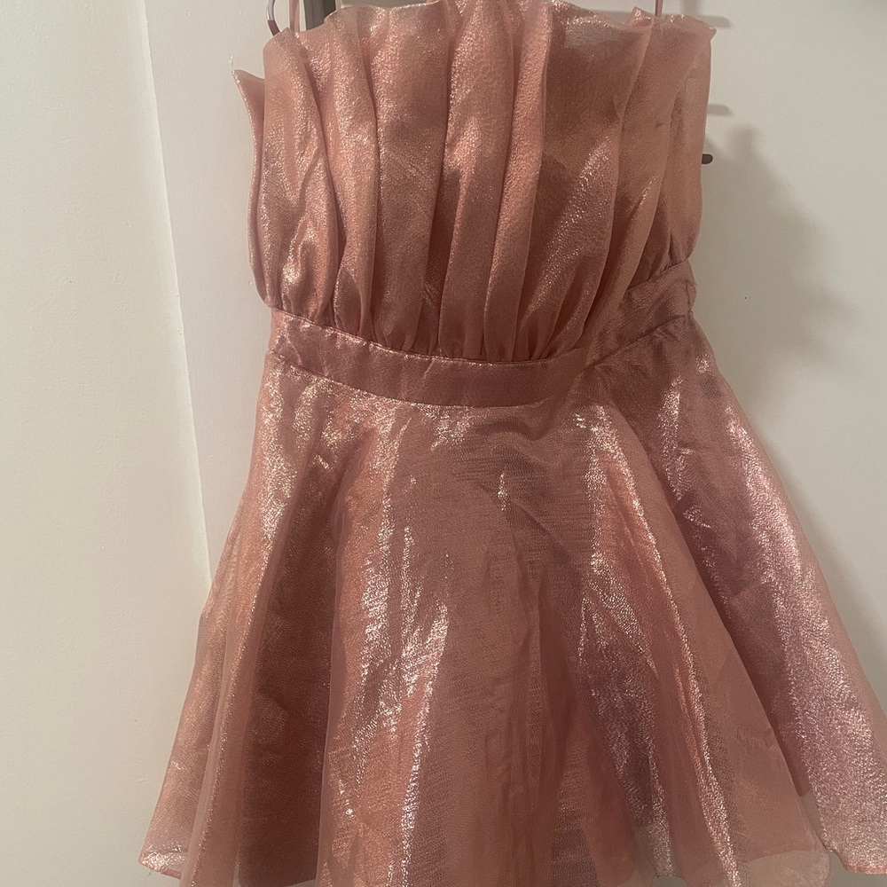 Metallic Organza Bandeau Mini Dress